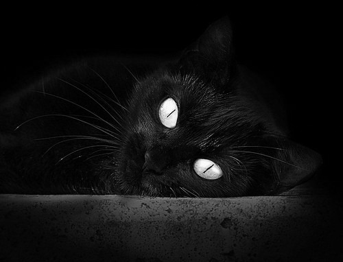 全国多地开展“篮球进校园”系列活动,推动青少年健身热潮,篮球进校园政策