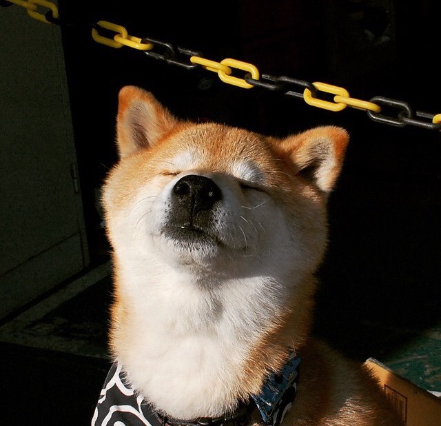 Kaiyun APP-全国青少年“篮球摄影”微电影征集盛大开启，展现青春风采，篮球摄影比赛作品简介