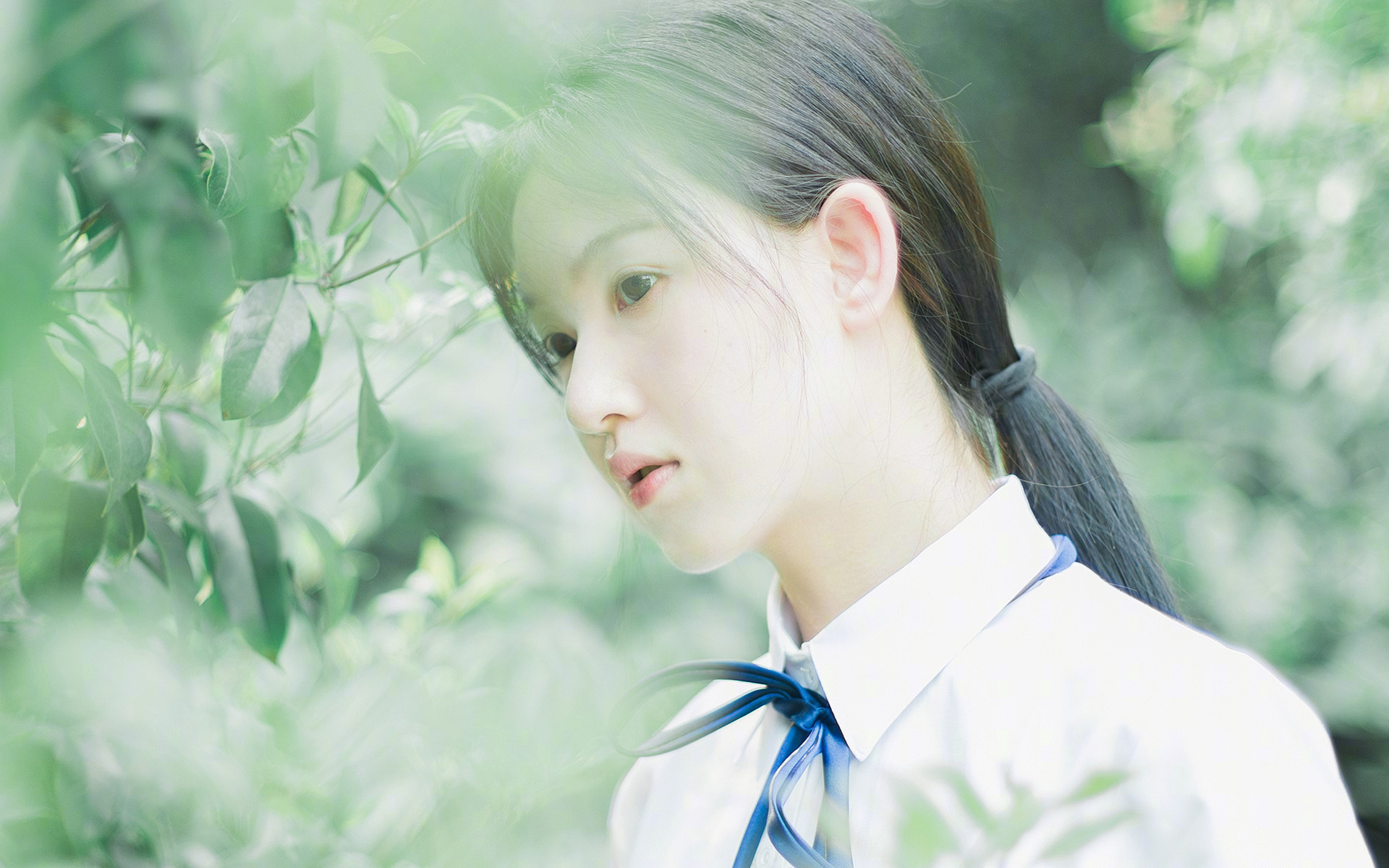 安全措施升级:保障车手生命安全的每一步,确保车辆安全运行