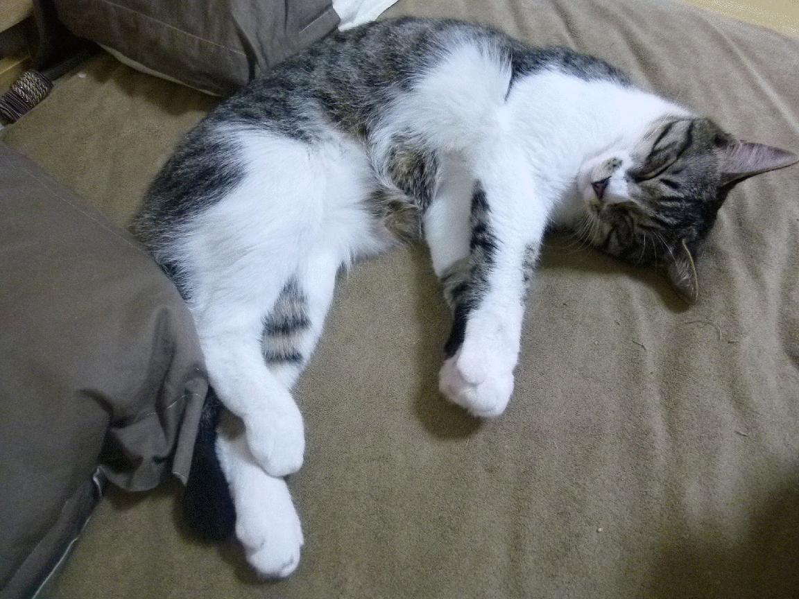 影响力赛事：多家媒体同步报道，影响力 媒体