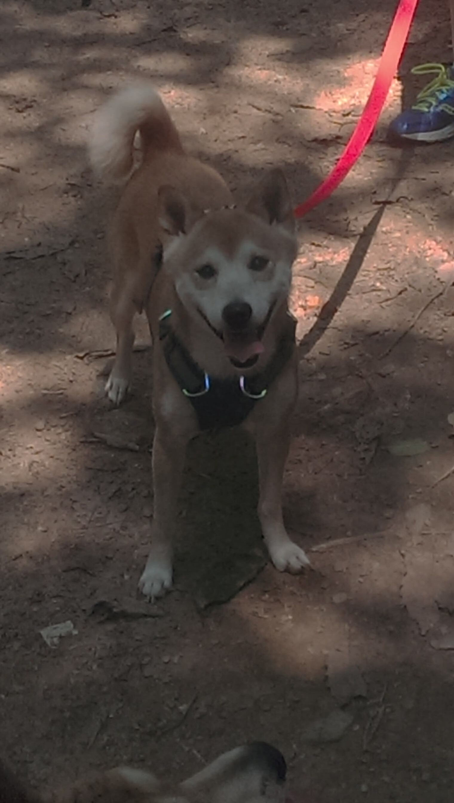 开云官方-篮球公益活动促进全民健身深入开展，篮球公益活动宣传