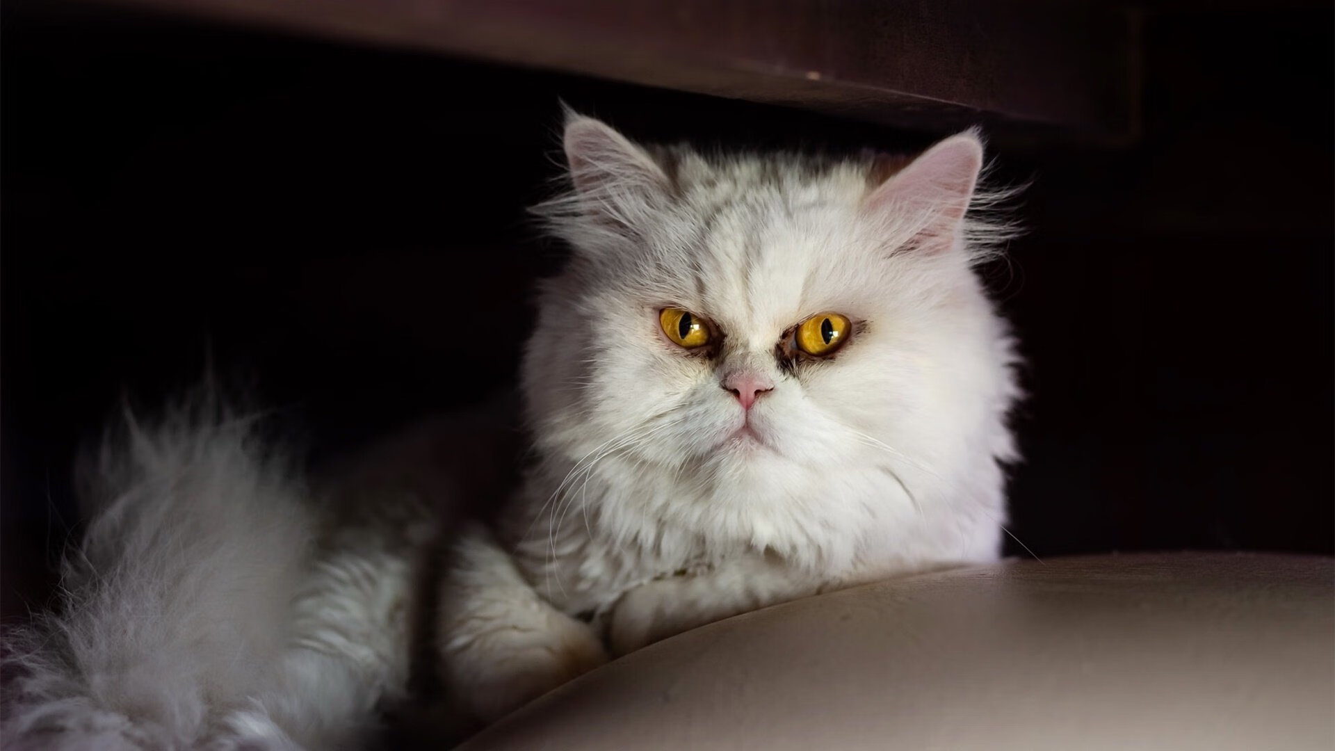 开云官网-绿色能源在赛车中的应用创新，“绿色”能源