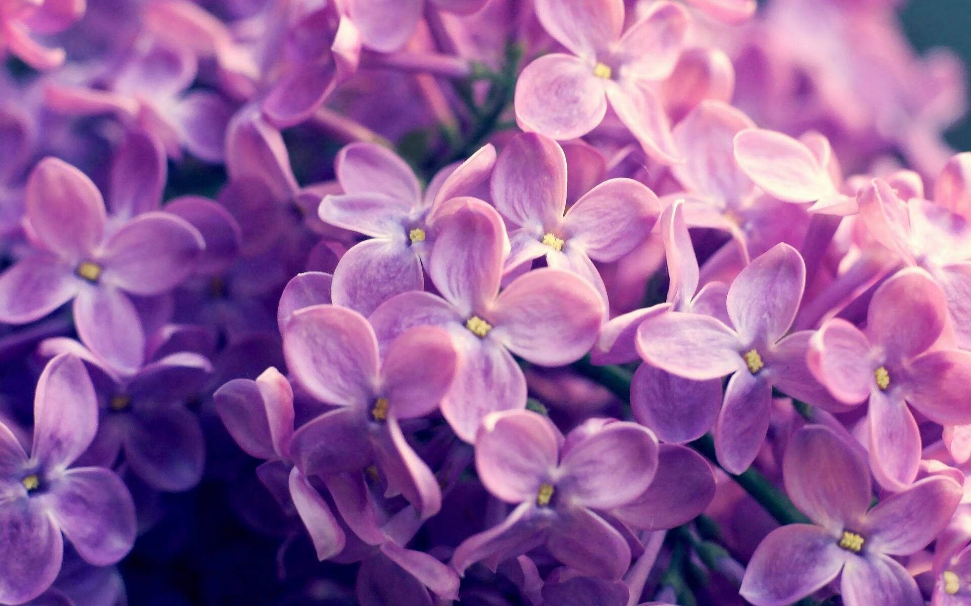 江苏肯帝亚 冲击季后赛,江苏肯帝亚新赛季名单