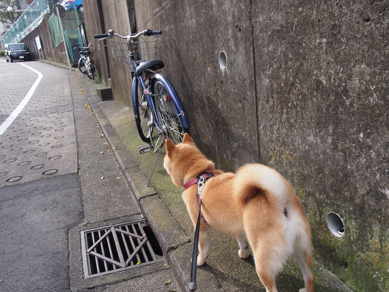 皇马惨遭失利!客场遭遇难搞之战,未能脱困,皇马比赛