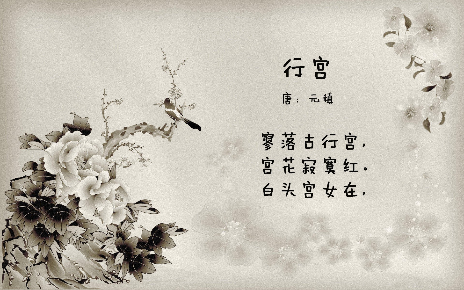 西汉姆联主场告捷,球队士气高涨,目标锁定争夺冠军,西汉姆联集锦