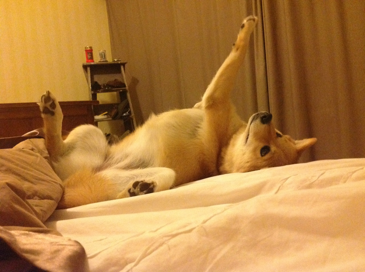 西班牙全场控球率高达72%,技压对手,西班牙控球率那么高